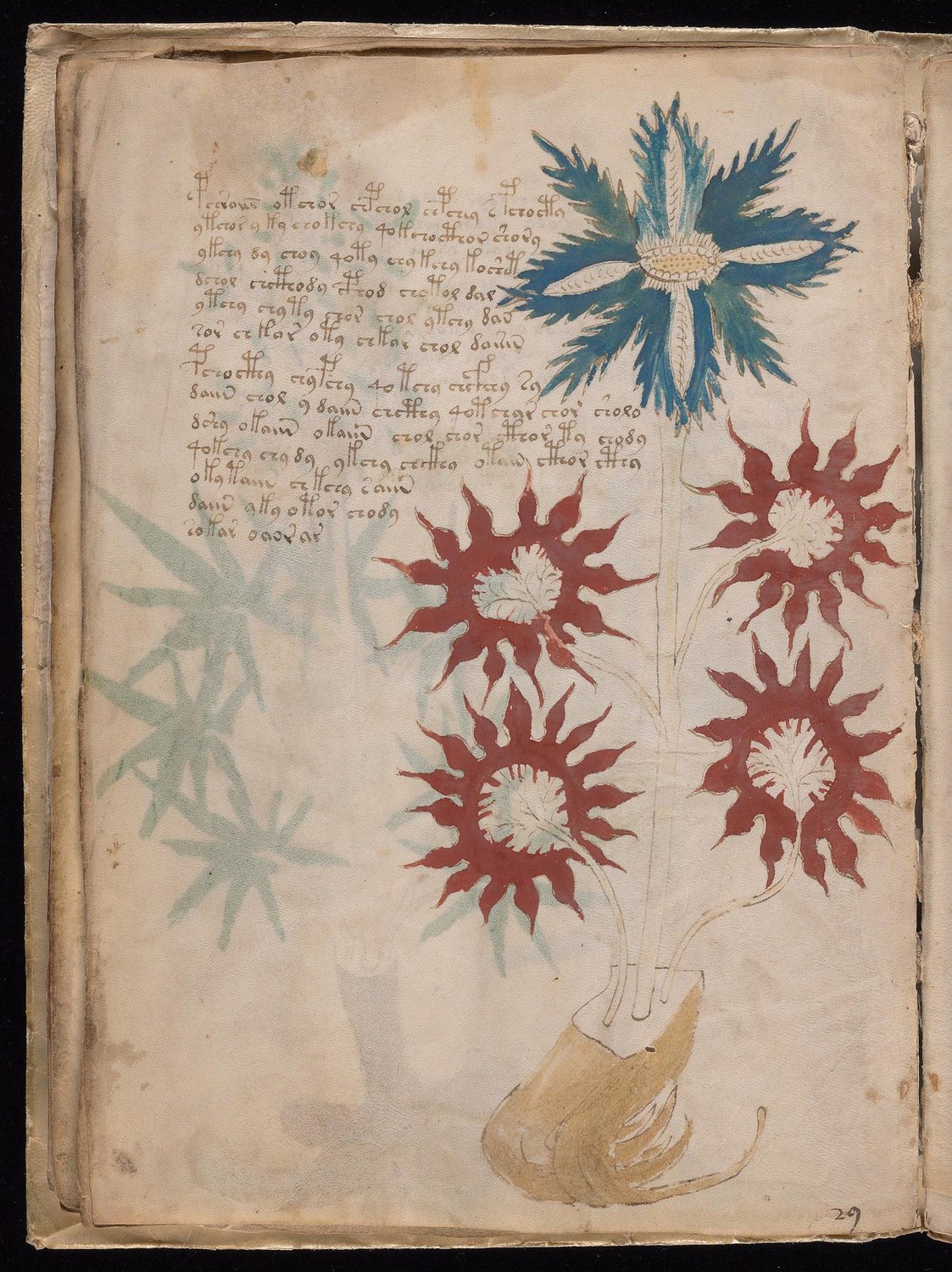 Herbal Page 30